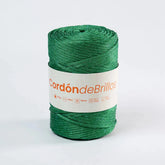 Cordón de Brillos Verde/Tornasol